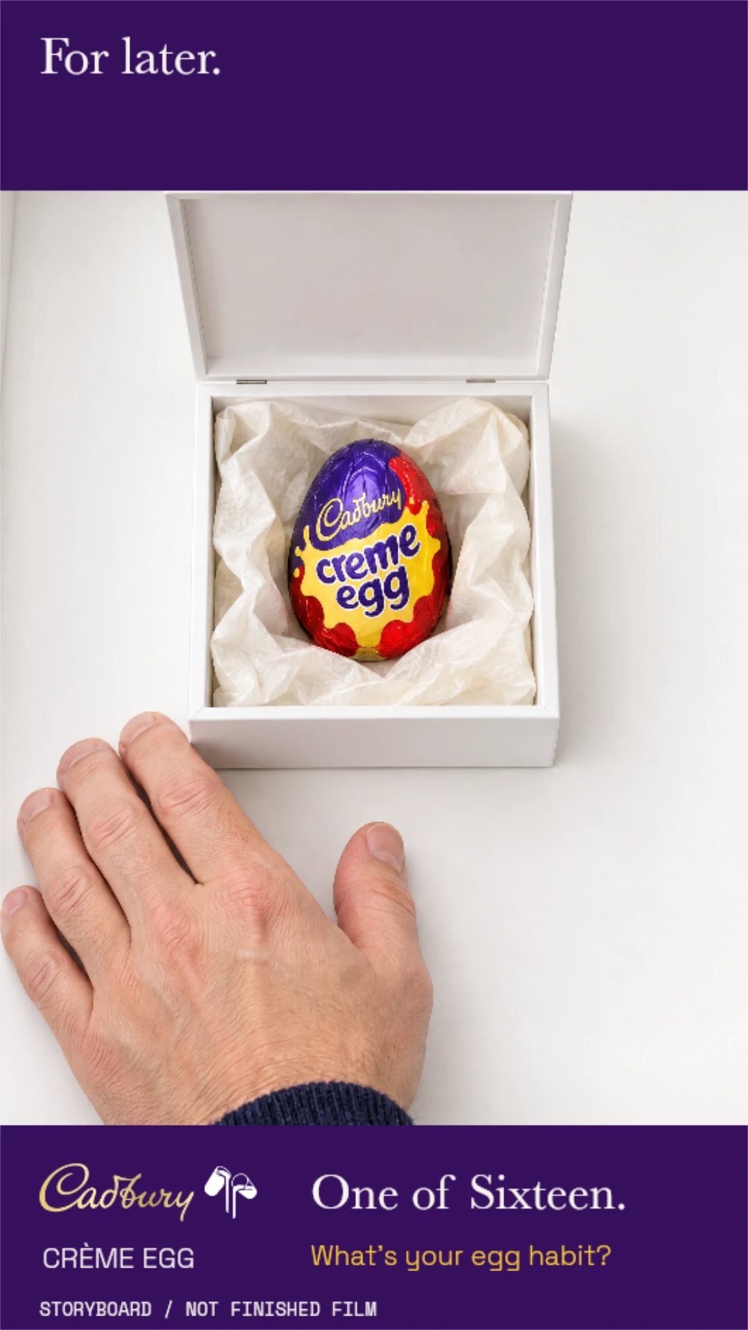 00–03 / Plan A — Overhead close-up. One wrapped egg in a white hinged box. The navy sleeve establishes the owner.